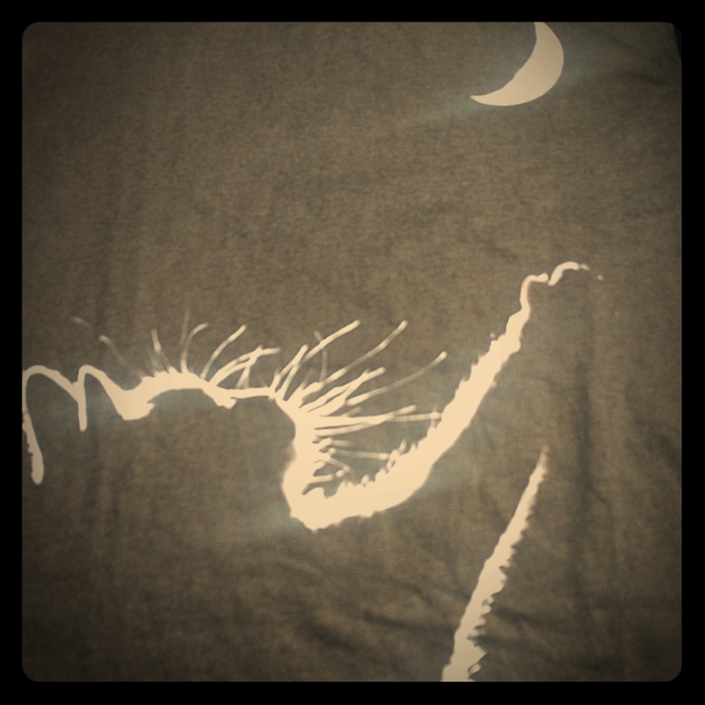 Black cat T-shirt M NWOT